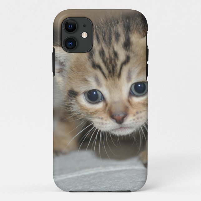 Cute Young Kitten Case-Mate iPhone Case (Back)