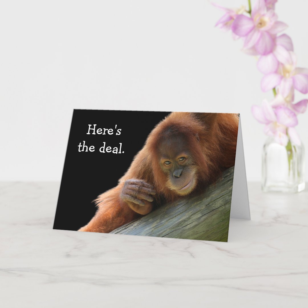 Cute Young Orangutan Birthday Card | Zazzle