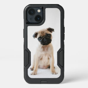 Cute Young Pug Dog iPhone 13 Case