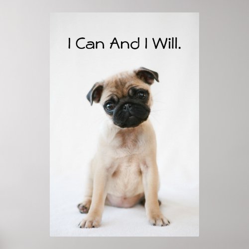 Cute Young Pug Dog Poster