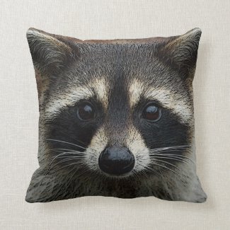 Cute Young Raccoon Face Mask and Stare Close Up Throw Pillow