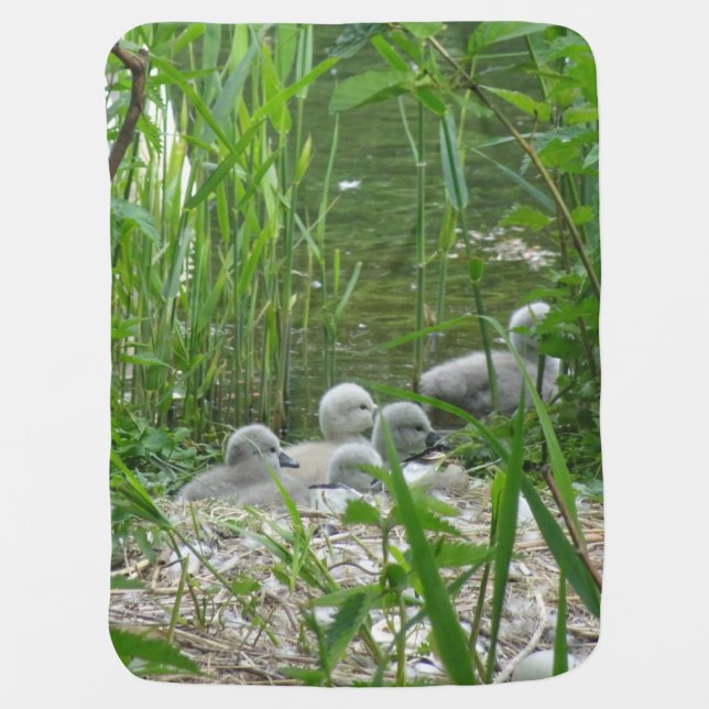 Cute Young Swans Baby Blanket (Front)