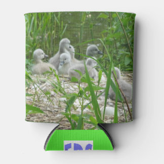 Cute young Swans Can Cooler