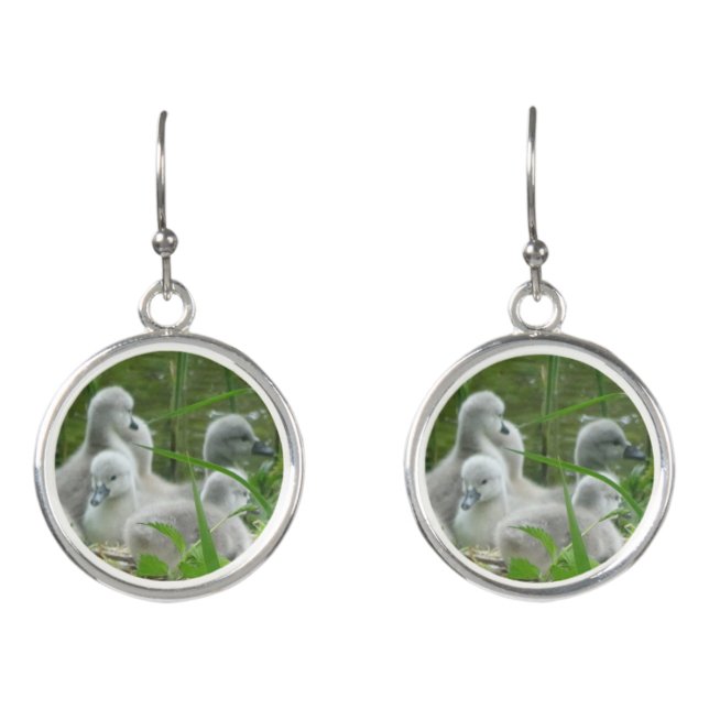 Cute Young Swans Earrings (Front)