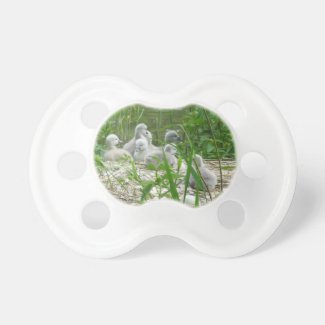 Cute Young Swans Pacifier