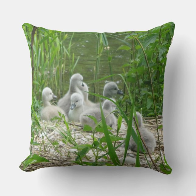 Cute young Swans Throw Pillow (Front)