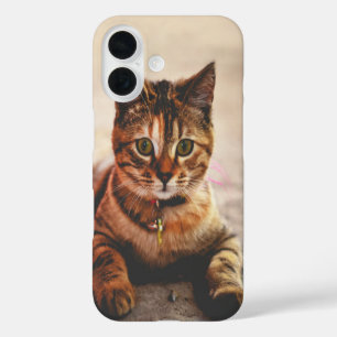 Cute Young Tabby Cat Kitten Kitty Pet iPhone 16 Case