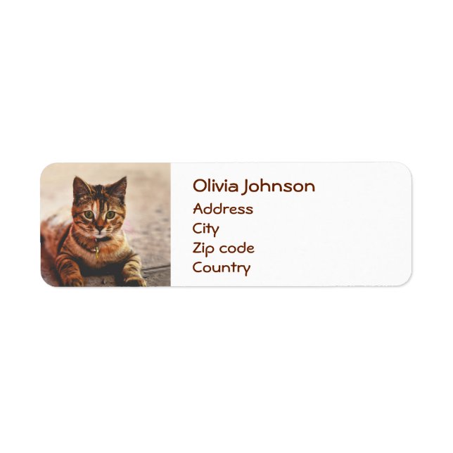 Cute Young Tabby Cat Kitten Kitty Pet Label (Front)