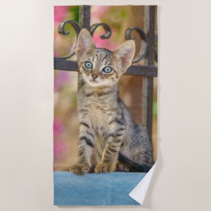 Cute Young Tabby Kitten with Blue Eyes in a Garden Beach Towel
