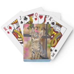 Cute Young Tabby Kitten with Blue Eyes in a Garden Poker Cards