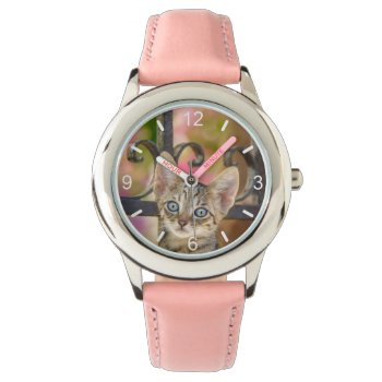 Cute Young Tabby Kitten With Blue Eyes In A Garden Watch by Kathom_Photo at Zazzle