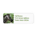 Cute Zebra Mailing Label