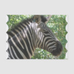 Cute Zebra Tissue Paper