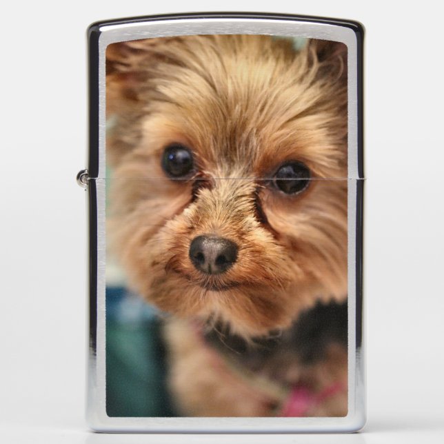 Cute  zippo lighter (Front)