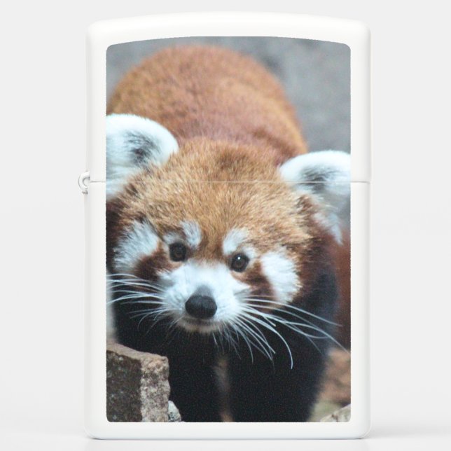 Cute Zippo Lighter (Front)