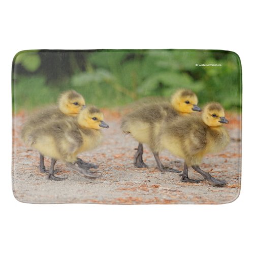 Cuteness on Parade Canada Goose Goslings Bathroom Mat