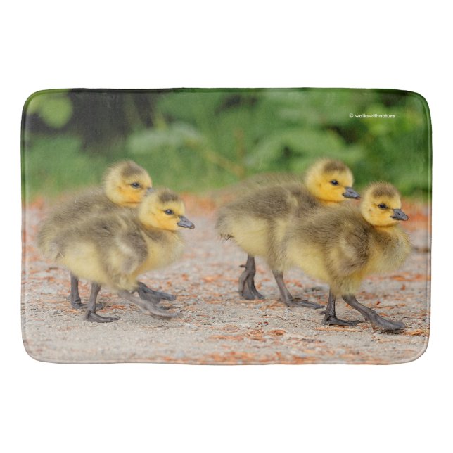 Cuteness on Parade: Canada Goose Goslings Bathroom Mat (Front)