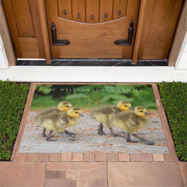 Cuteness on Parade: Canada Goose Goslings Doormat (Outdoor)