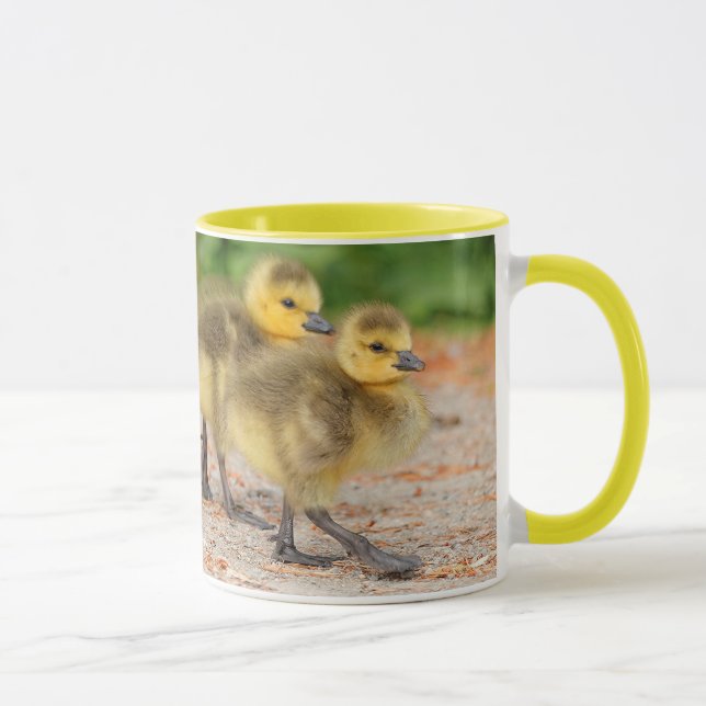 Cuteness on Parade: Canada Goose Goslings Mug (Right)
