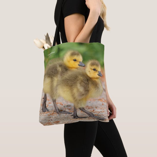 Cuteness on Parade: Canada Goose Goslings Tote Bag (Close Up)
