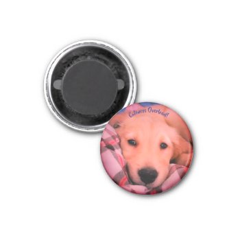 Cuteness Overload  Small Round Magnet by dbrown0310 at Zazzle