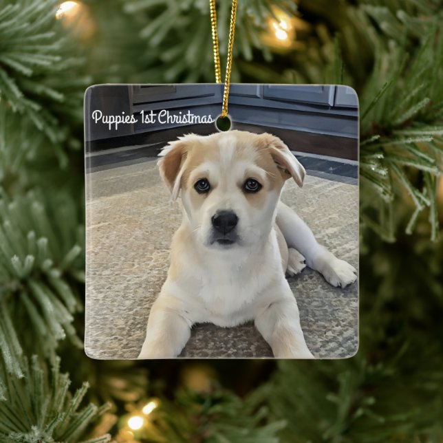 Cuteness Puppy Overload Ornament (Tree)