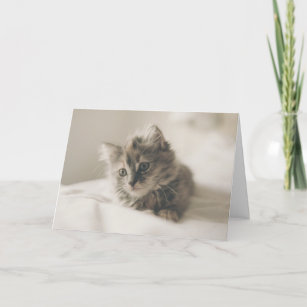Cuteness therapy kitten thinking of you card