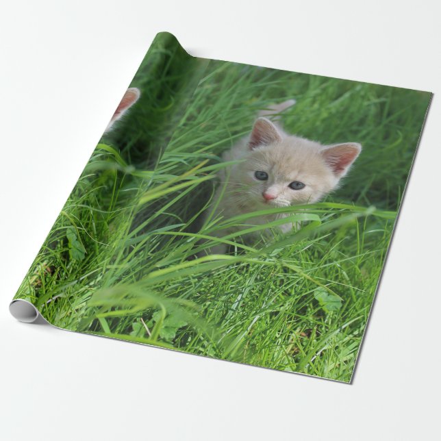 Cuteness Wrapping Paper (Unrolled)