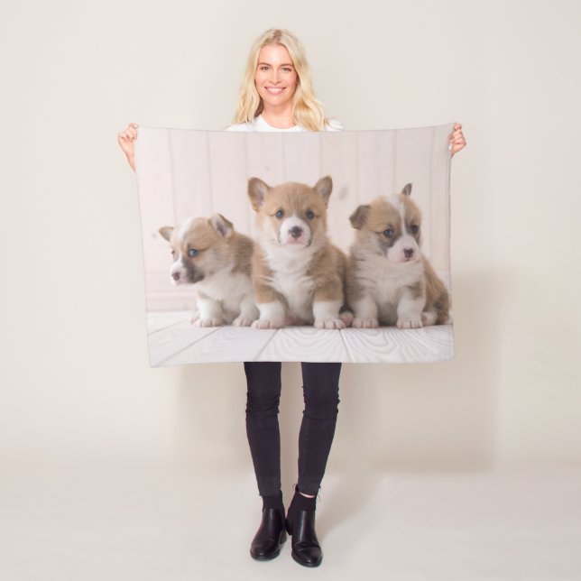 Cutest Baby Animals | 3 Baby Corgis Fleece Blanket (In Situ)