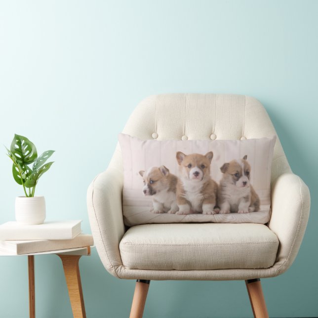 Cutest Baby Animals | 3 Baby Corgis Lumbar Pillow (Chair)