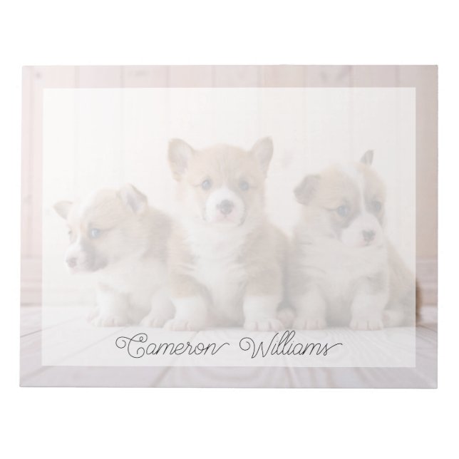 Cutest Baby Animals | 3 Baby Corgis Notepad (Front)
