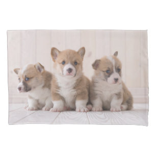 Cutest Baby Animals 3 Baby Corgis Pillow Case