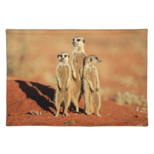 Cutest Baby Animals  3 Meerkats Cloth Placemat