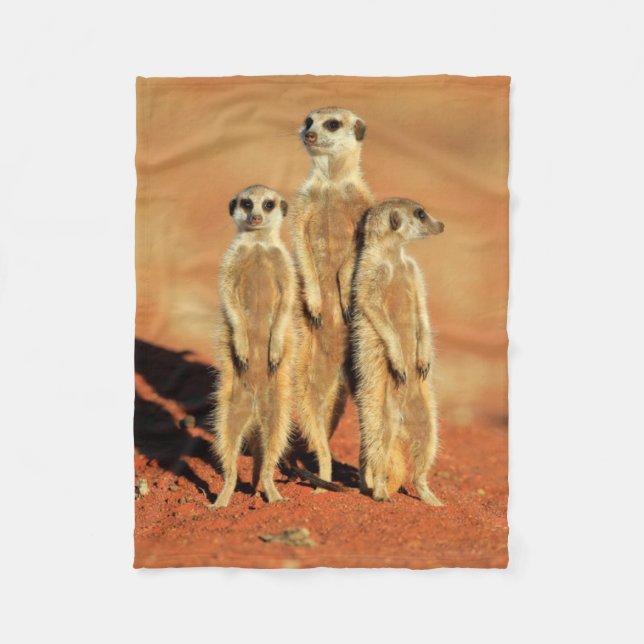 Cutest Baby Animals | 3 Meerkats Fleece Blanket (Front)