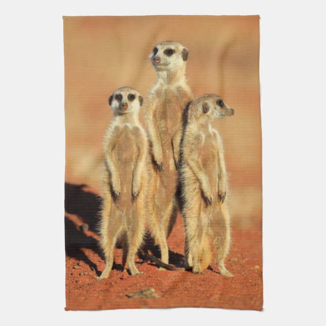 Cutest Baby Animals | 3 Meerkats Kitchen Towel (Vertical)