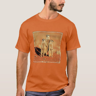Cutest Baby Animals   3 Meerkats T-Shirt