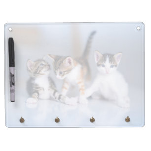 Cutest Baby Animals 3 Tabby Kittens Dry Erase Board With Keychain Holder