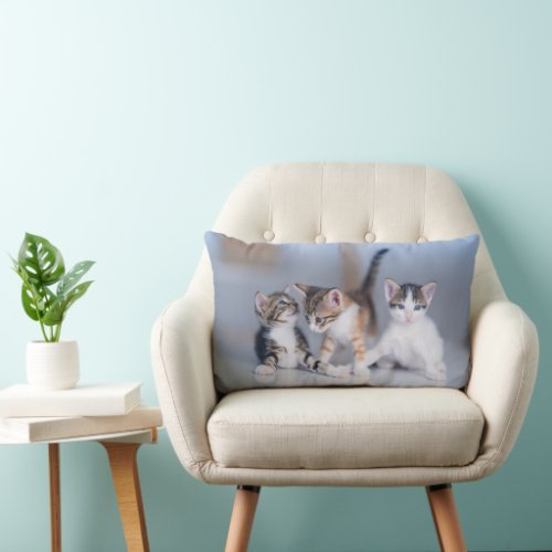 Cutest Baby Animals  3 Tabby Kittens Lumbar Pillow