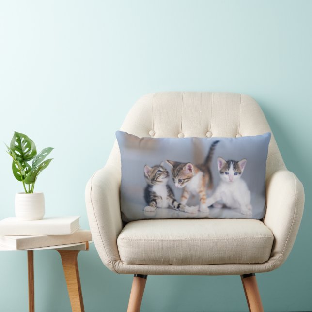 Cutest Baby Animals | 3 Tabby Kittens Lumbar Pillow (Chair)