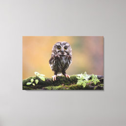 Cutest Baby Animals | A Baby Owl Canvas Print