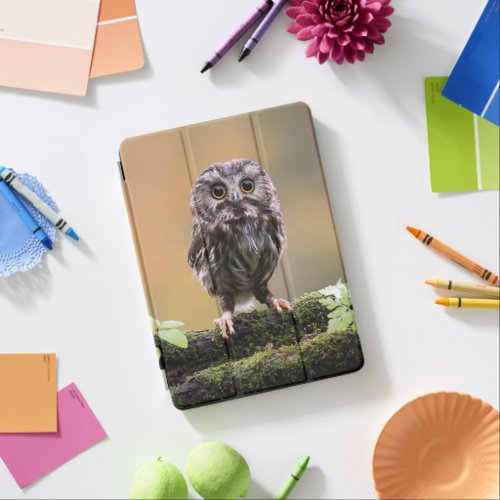Cutest Baby Animals  A Baby Owl iPad Air Cover