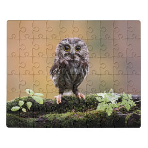 Cutest Baby Animals   A Baby Owl Jigsaw Puzzle