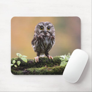 Cutest Baby Animals   A Baby Owl Mouse Pad