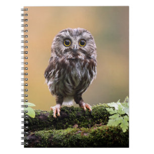 Cutest Baby Animals A Baby Owl Notebook