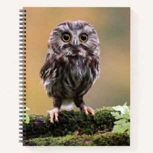 Cutest Baby Animals A Baby Owl Notebook