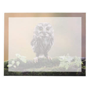Cutest Baby Animals A Baby Owl Notepad
