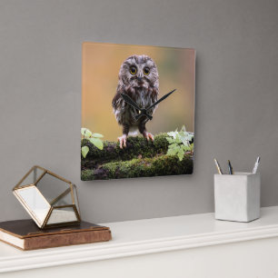 Cutest Baby Animals   A Baby Owl Square Wall Clock