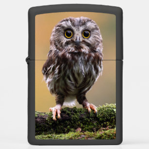 Cutest Baby Animals A Baby Owl Zippo Lighter