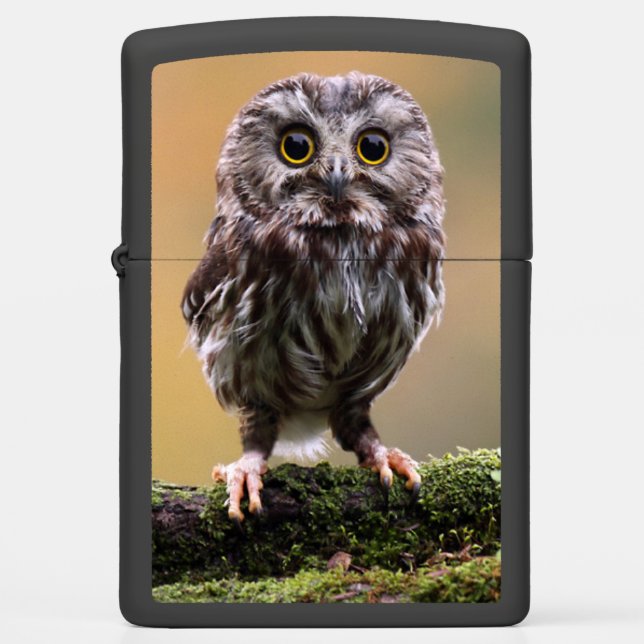 Cutest Baby Animals | A Baby Owl Zippo Lighter (Front)