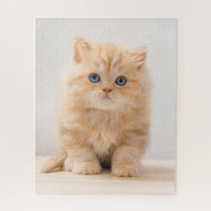 Cutest Baby Animals A British Longhair Kitten Jigsaw Puzzle